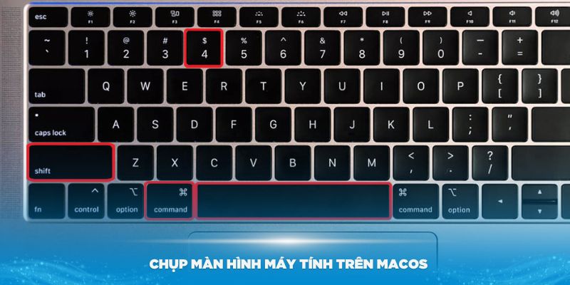 Hướng dẫn cách chụp màn hình máy tính trên MacOS